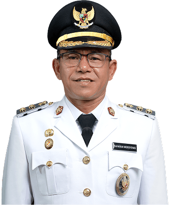 Wakil Walikota Medan